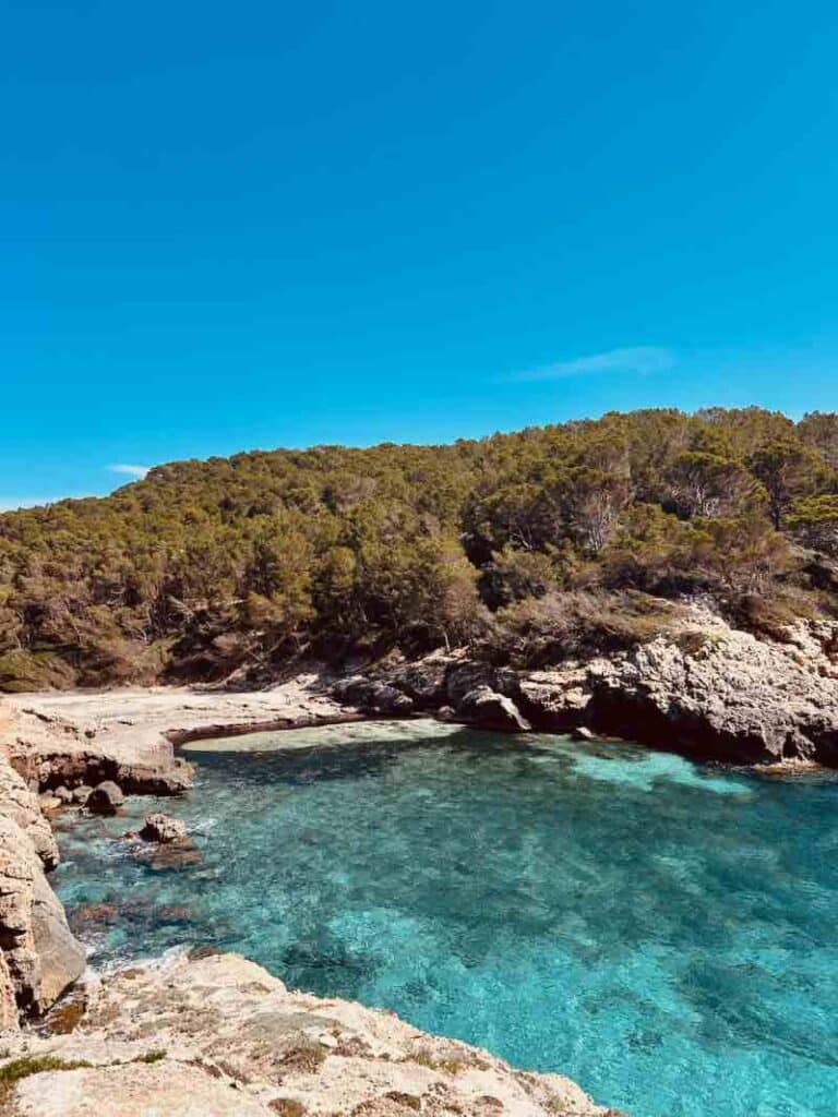 Cala Fustam, avec de la posidonie en avril