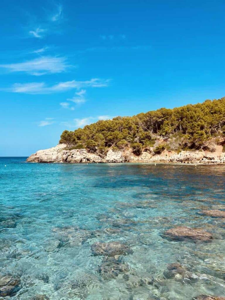 Cala Escorxada est une crique parfaite pour le snorkeling, n'oubliez pas vos masques et tubas.