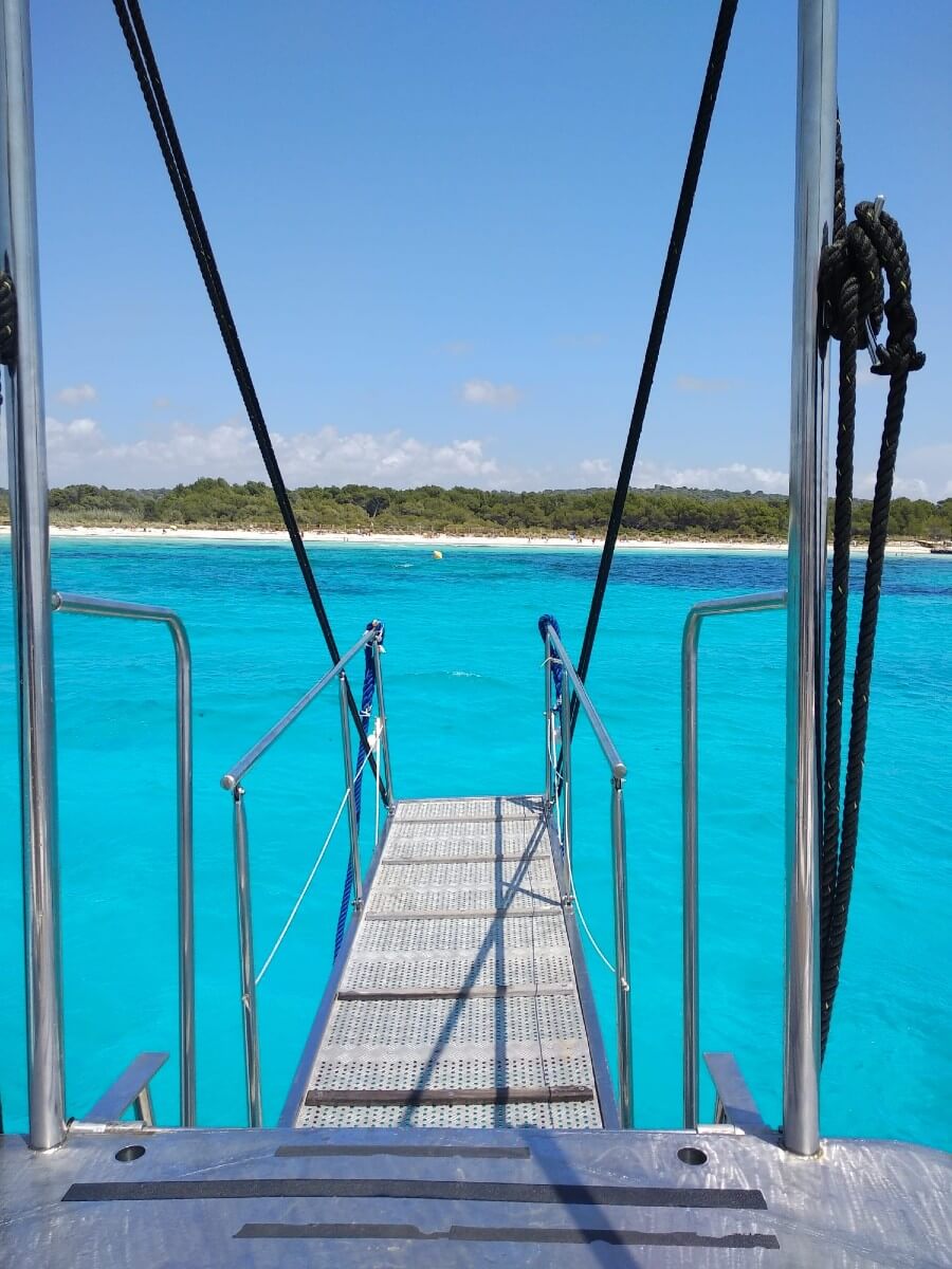 Opétation Snorkeling!