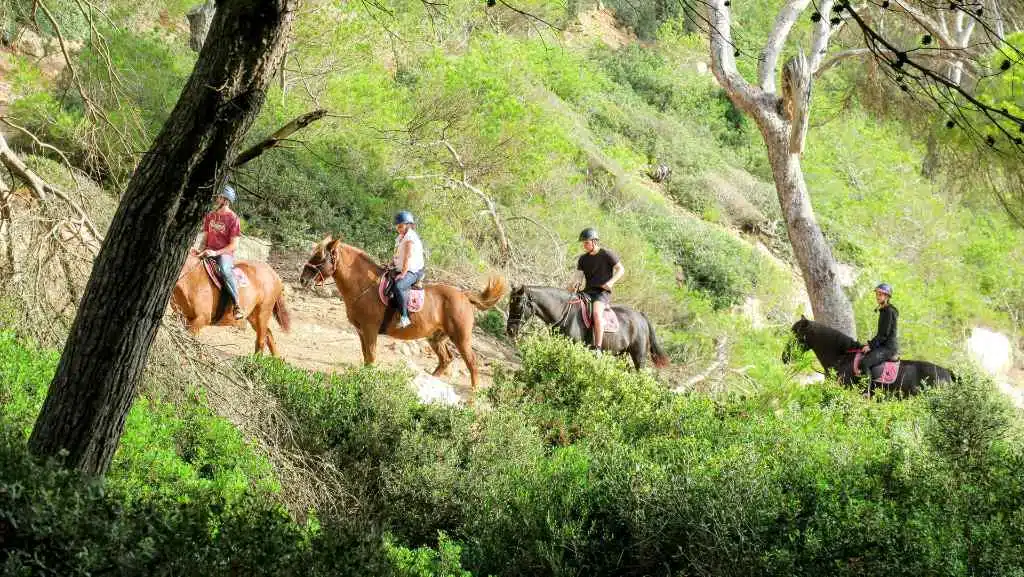 Excursion Cheval Minorque Excursion Cheval Minorque