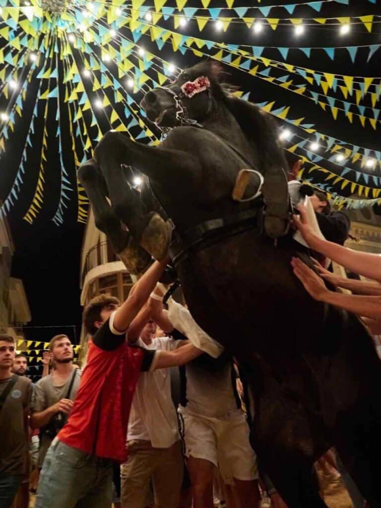 Fete Chevaux