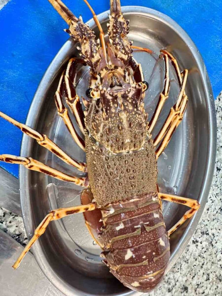 Langouste Minorque Langouste Minorque
