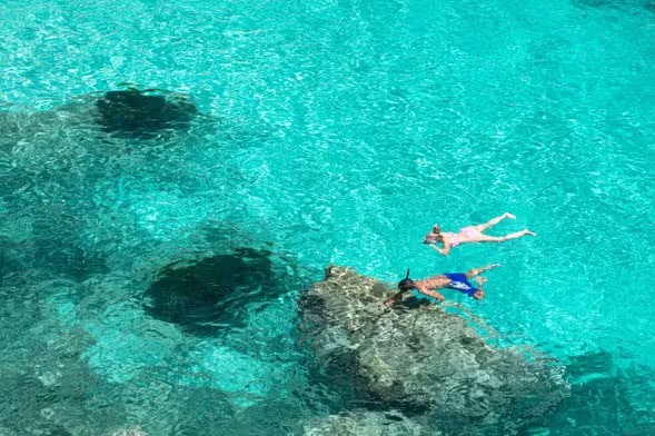 Snorkel Port Addaya