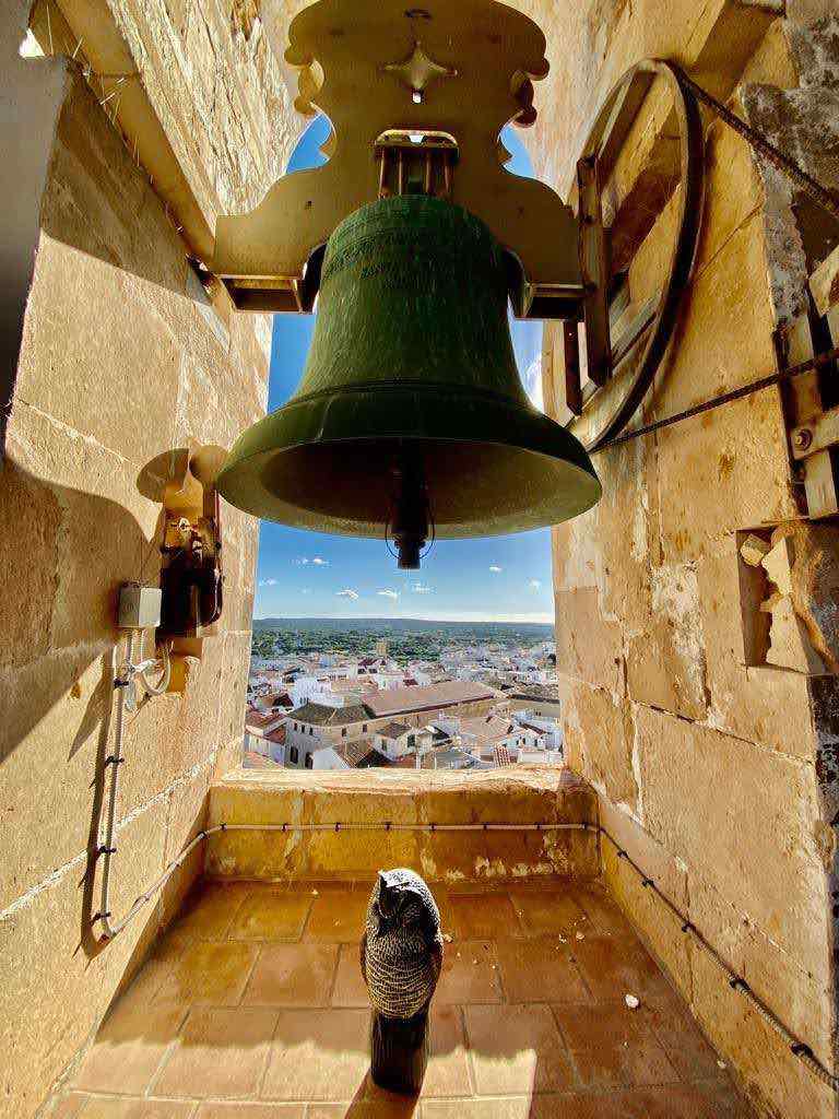 mirador eglise alaior