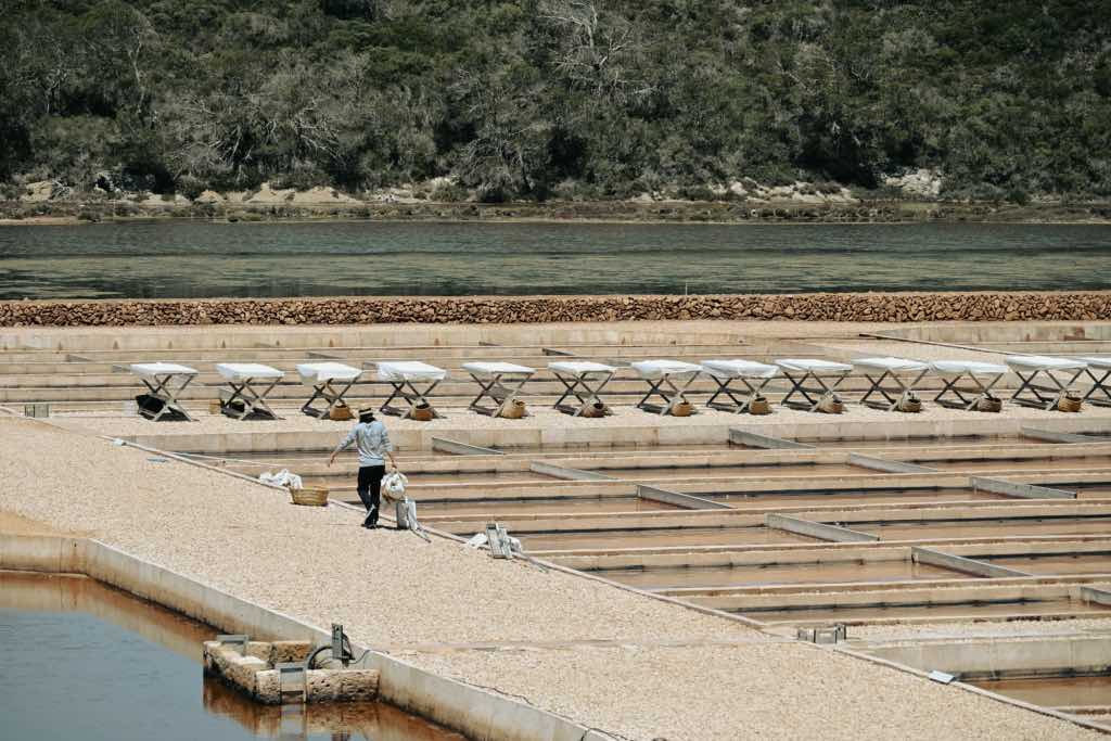 salines Fornells